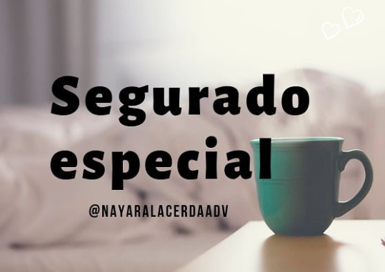 SEGURADO ESPECIAL